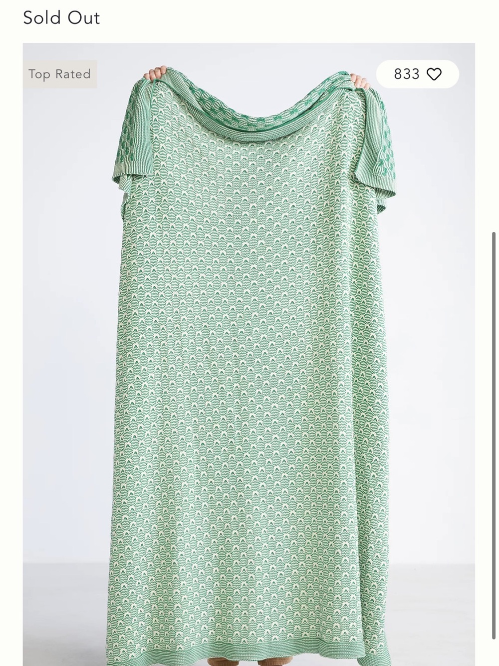 Anthropologie Light Green Patterned Blanket/Throw
